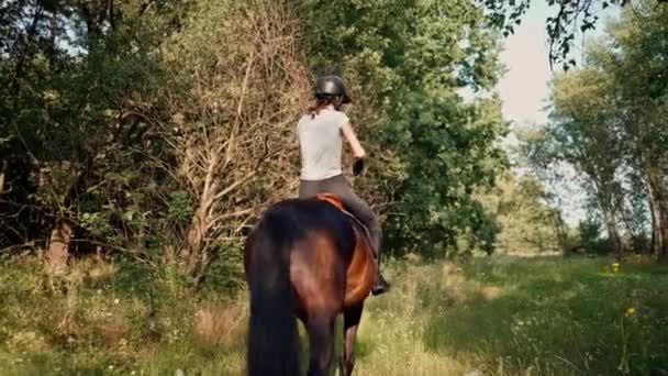 Jeździec Ubrany Profesjonalny Sprzęt Jeździ Swoim Pięknym Koniem Lesie Podczas — Wideo stockowe