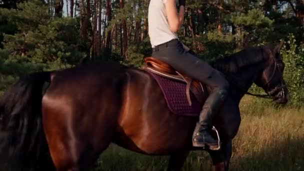 Retrato Cavaleiro Vestido Com Equipamento Profissional Monta Seu Belo Cavalo — Vídeo de Stock
