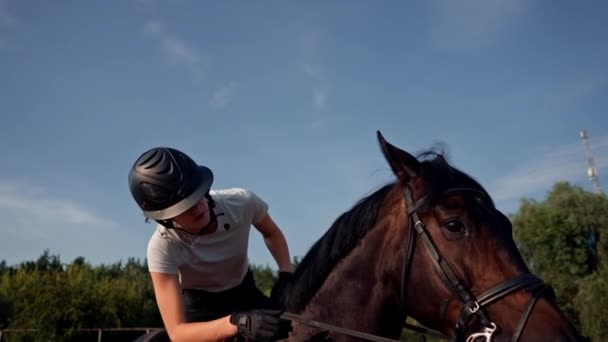 Žena Jezdec Helmě Objímá Hladí Její Krásný Černý Kůň Rukou — Stock video
