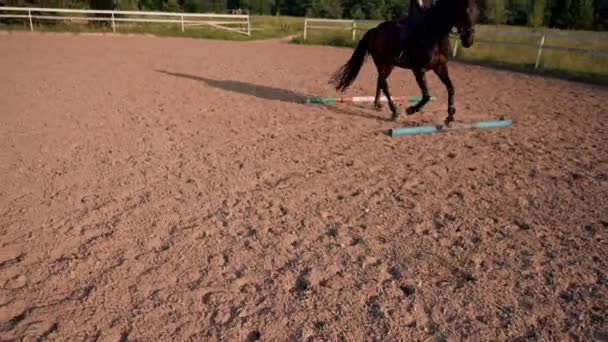 Rider Dressed Professional Gear Doing Cross Bar Exercises His Beautiful — Stock Video