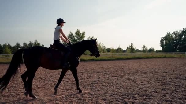Cavaleiro Vestido Com Equipamento Profissional Pratica Galope Seu Belo Cavalo — Vídeo de Stock