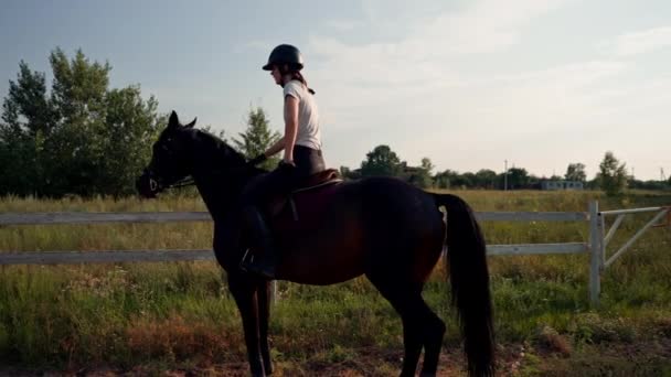 一名骑手身穿职业装备 骑着他的骏马在户外练习场上飞奔 — 图库视频影像