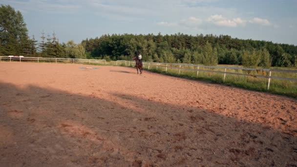 一名骑手身穿职业装备 骑着他的骏马在户外练习场上飞奔 — 图库视频影像
