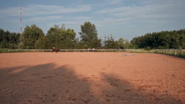 プロの装備を着たライダーは 屋外トレーニンググラウンドで彼の美しい馬のギャロップを実践します — ストック動画