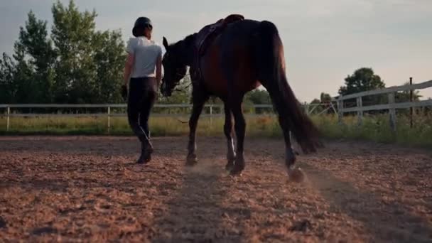 Zbliżenie Kopyt Czarnego Konia Podczas Jazdy Konnej Piaskowej Koncepcji Miłości — Wideo stockowe