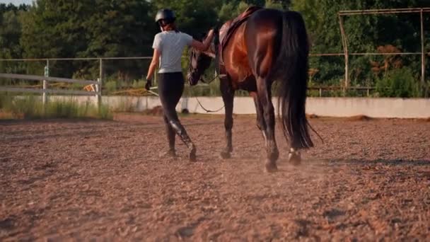 Ženský Jezdec Profesionální Uniformě Vede Svého Krásného Černého Koně Postrojem — Stock video