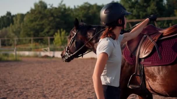 Jeździec Kasku Głaszcze Swojego Czarnego Konia Poprawiając Sprzęt Arenie Farmie — Wideo stockowe