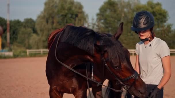 Jezdec Helmě Hladí Svého Černého Koně Opravuje Vybavení Venkovní Aréně — Stock video