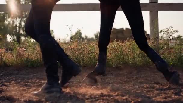 Zbliżenie Kopyt Czarnego Konia Podczas Jazdy Konnej Piaskowej Koncepcji Miłości — Wideo stockowe