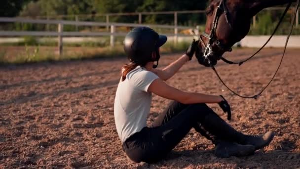 骑手骑着马在马术竞技场上用手喂她漂亮的黑马 — 图库视频影像