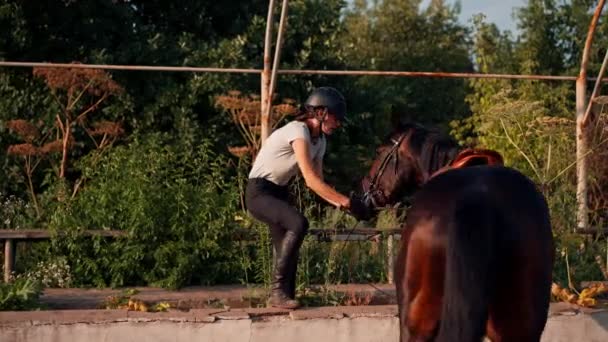 Uma Mulher Cavaleira Uniforme Profissional Está Levando Seu Belo Cavalo — Vídeo de Stock