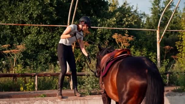 Ženský Jezdec Profesionální Uniformě Vede Svého Krásného Černého Koně Postrojem — Stock video