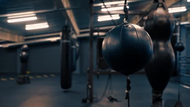 Αθλητικός Εξοπλισμός Σάκους Πυγμαχίας Γυμναστήριο Ενεργό Σπορ Επαγγελματική Κατάρτιση — Αρχείο Βίντεο