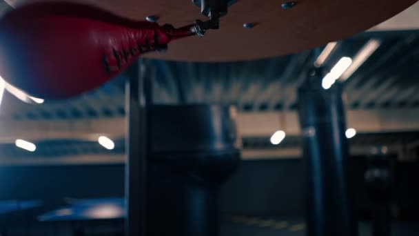 Girl Boxer Gloves Works Out Strength Blows Coordination Small Punching — Stock Video