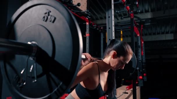 Retrato Joven Hermosa Mujer Fitness Enfocada Haciendo Ejercicio Presión Hombro — Vídeos de Stock