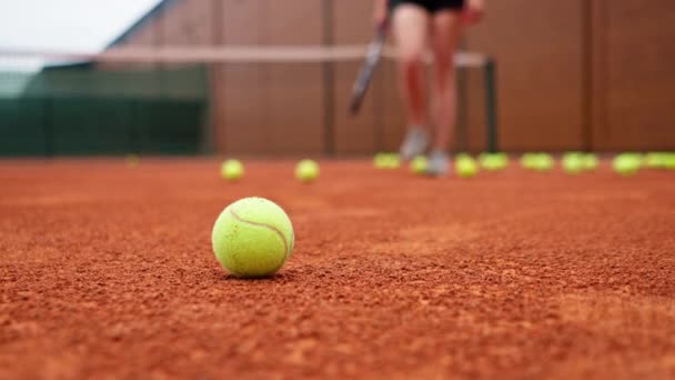 クローズアップ女性の手はテニスコートスポーツトレーニング競技に横たわるボールを拾う — ストック動画