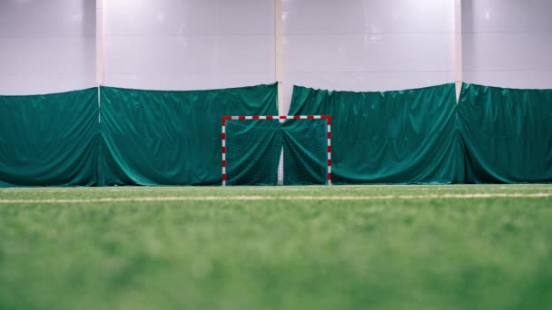 View Empty Soccer Field Goalie Goal Green Synthetic Grass Sport — Stock Video