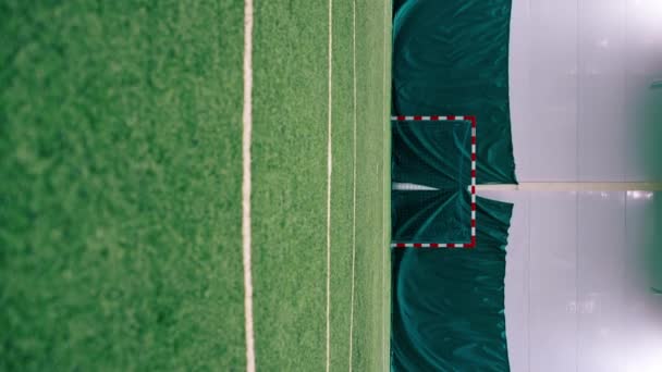 Vertical Video View Empty Soccer Field Goalie Goal Green Synthetic — Stock Video