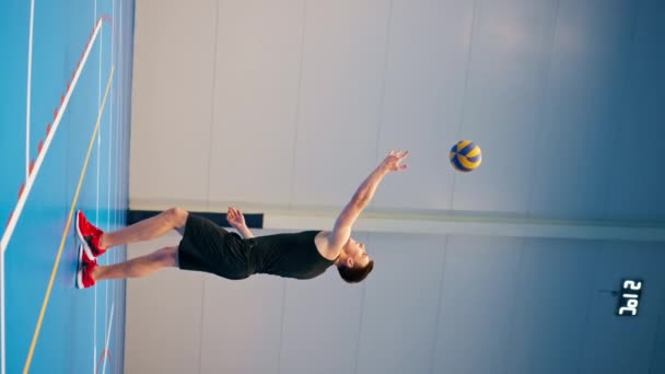 Vertical Video Young Pumped Guy Sportsman Prepares Serve Ball Volleyball — Stock Video