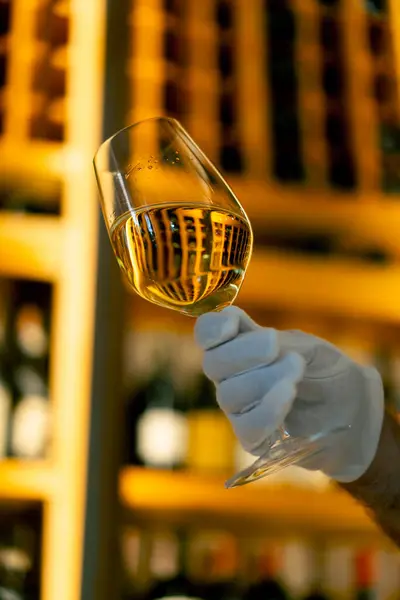 Primo Piano Bicchiere Vino Tenuto Sommelier Ristorante Italiano Sullo Sfondo — Foto Stock
