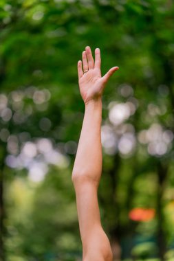 Yoga meditasyonu sırasında kadın ellerinin yakın çekimi ve yeşil park arka planında fiziksel egzersiz meditasyonu