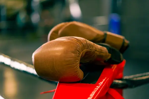 sports equipment in the gym boxing gloves on the ropes of the ring active sports professional training closeup
