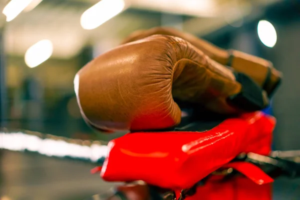 sports equipment in the gym boxing gloves on the ropes of the ring active sports professional training closeup