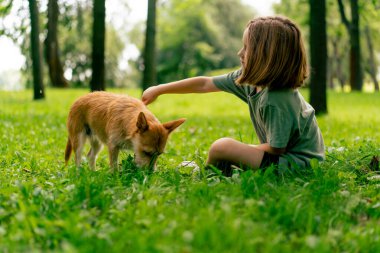Parkta gezen küçük bir kız en sevdiği kırmızı tüylü köpeğiyle ve onun arkadaşlığı için endişeleniyor.
