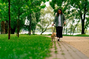 Küçük kırmızı köpek bakımı ve hayvanlara olan sevgisiyle parkta yürüyen genç bir kız.