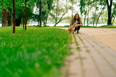 Küçük kırmızı köpek bakımı ve hayvanlara olan sevgisiyle parkta yürüyen genç bir kız.