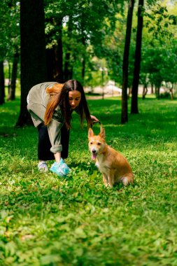 Şehir parkında çimlerden köpek kakası toplayan bir kadın elinde evcil hayvan dışkısı koruması olan mavi plastik bir çanta tutuyor.