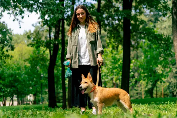 Şehir parkında çimlerden köpek kakası toplayan bir kadın elinde evcil hayvan dışkısı koruması olan mavi plastik bir çanta tutuyor.