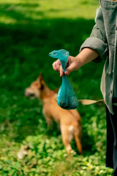 Close Woman Picking Dog Poop Lawn City Park Woman Holding — Stock Photo, Image