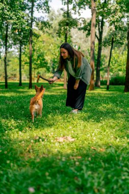 Parkta köpeğiyle yürüyen, sopayla oynayan ve onunla dalga geçen genç bir kızın portresi.