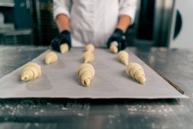 Kadın bir fırıncının ellerinin yakın plan çekimleri pişmemiş kruvasanları fırında pişirmek için parşömen ile birlikte pişirme tepsisine yerleştirirken.