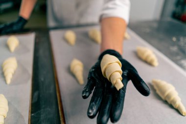 Kadın bir fırıncının ellerinin yakın plan çekimleri pişmemiş kruvasanları fırında pişirmek için parşömen ile birlikte pişirme tepsisine yerleştirirken.