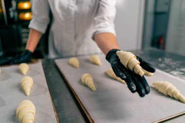 Kadın bir fırıncının ellerinin yakın plan çekimleri pişmemiş kruvasanları fırında pişirmek için parşömen ile birlikte pişirme tepsisine yerleştirirken.