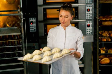Fırıncı fırında pişirmek için kabarık çiğ kruvasanları parşömen üzerine serer.