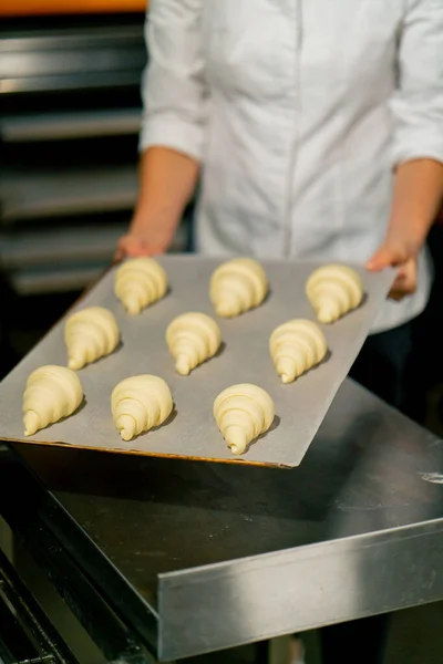 Boulanger Met Des Croissants Crus Moelleux Disposés Sur Parchemin Sur — Photo