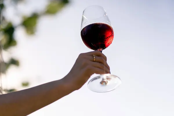 Güneşli Bir Bahçede Kırmızı Şarapla Dolu Bir Bardağı Tutan Bir — Stok fotoğraf
