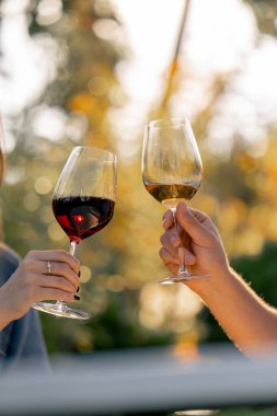 Bir erkek ve kadının elinde farklı türde şarap kadehleri ve üzüm tarlasında kadeh tokuştururken yakın plan çekimleri.