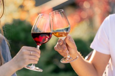 Bir erkek ve kadının elinde farklı türde şarap kadehleri ve üzüm tarlasında kadeh tokuştururken yakın plan çekimleri.