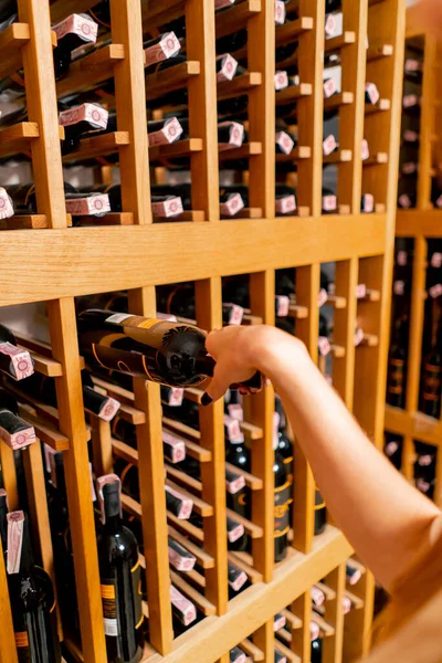 A woman\'s hand selects and draws a bottle of aged natural wine from an underground wine wooden cellar