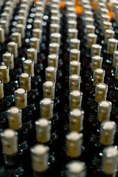 ワイナリーのセラーに貯蔵された箱に木製のストッパーが付いている老化したワインのボトルのクローズアップショット — ストック写真