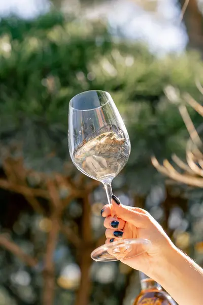 Bir Kadının Elinin Bir Bardak Şarabı Sapından Tutarken Onu Güneşin — Stok fotoğraf