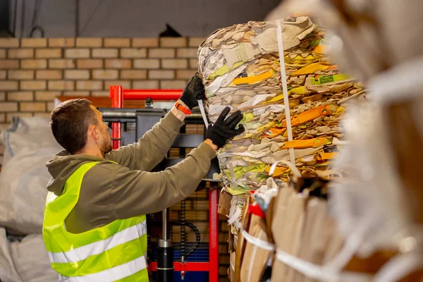 Seorang Karyawan Laki Laki Yang Menggunakan Stacker Mengeluarkan Kotak Kertas — Stok Foto