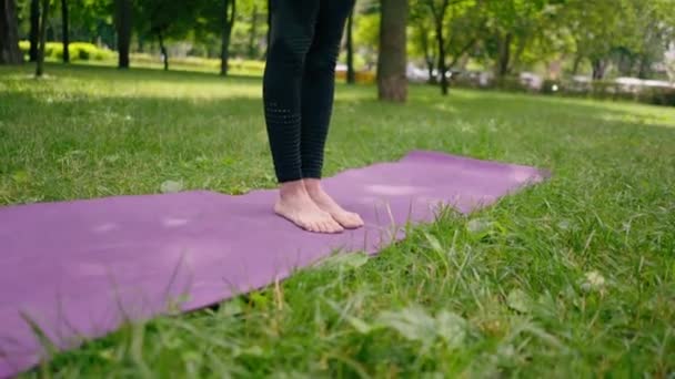 Experienced Female Instructor Meditates Park Practices Yoga Does Stretching Exercises Video Clip