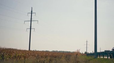 mısır tarlası arka plan enerji hattı kavramı tarım sektörü ve hasat fabrikaları tarım