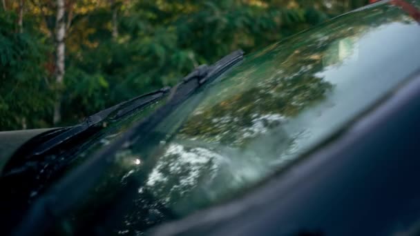自動ガラスのクリーニングのワイパーの細部が付いている高級車のフロントガラスの閉鎖 — ストック動画