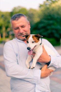 Yetişkin sakallı bir adamın portresi. Küçük köpeğini tutuyor. Jack Russell Terrier cinsi.